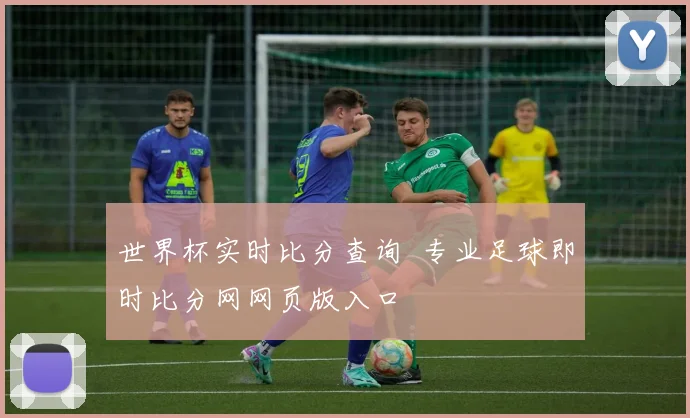 世界杯实时比分查询 专业足球即时比分网网页版入口